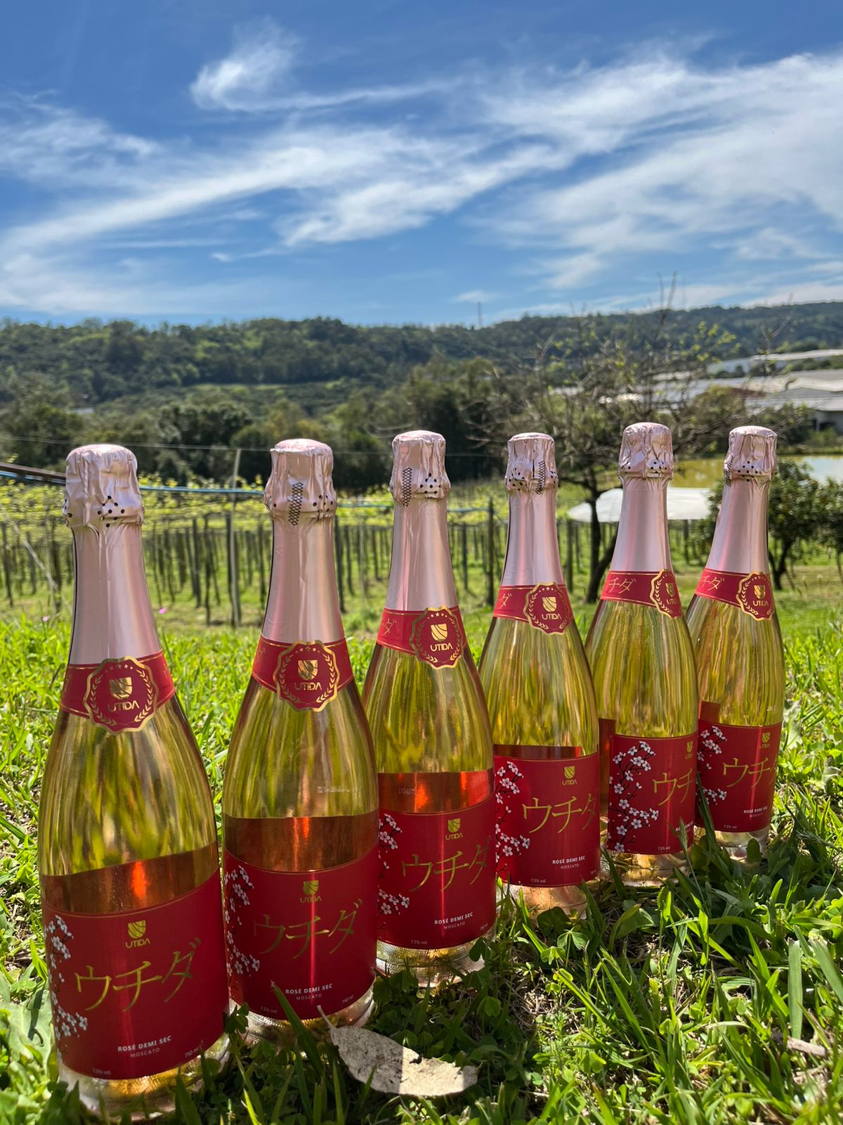 Espumante Rosé Demi-Sec